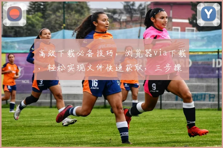高效下载必备技巧，浏览器via下载，轻松实现文件快速获取，三步操作，告别等待