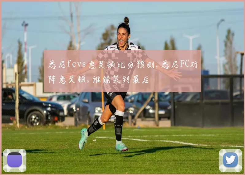 悉尼fcvs惠灵顿比分预测,悉尼FC对阵惠灵顿,谁能笑到最后