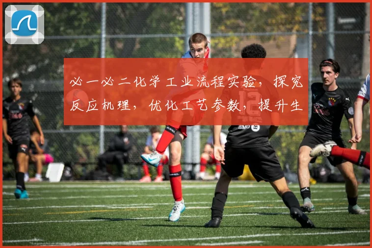 必一必二化学工业流程实验，探究反应机理，优化工艺参数，提升生产效率