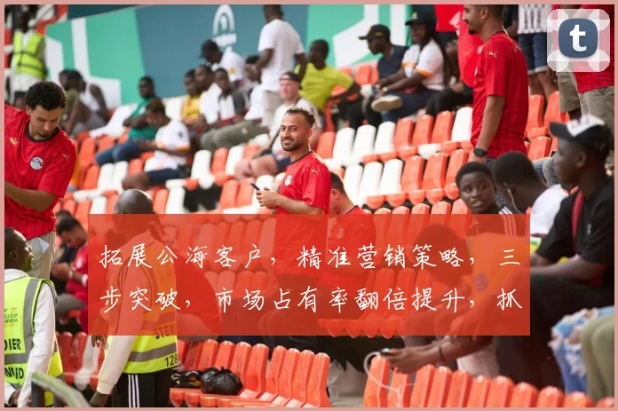 拓展公海客户，精准营销策略，三步突破，市场占有率翻倍提升，抓住商机