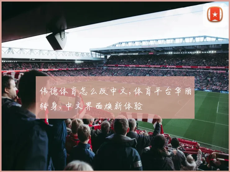 伟德体育怎么改中文,体育平台华丽转身,中文界面焕新体验