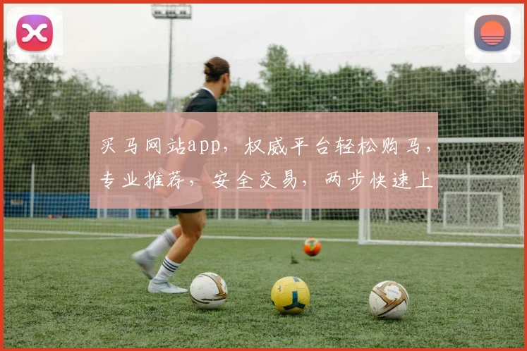 买马网站app，权威平台轻松购马，专业推荐，安全交易，两步快速上手，体验非凡