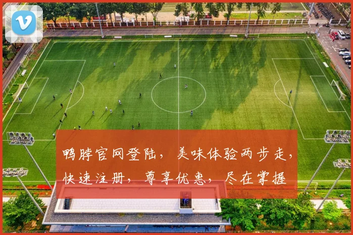鸭脖官网登陆，美味体验两步走，快速注册，尊享优惠，尽在掌握