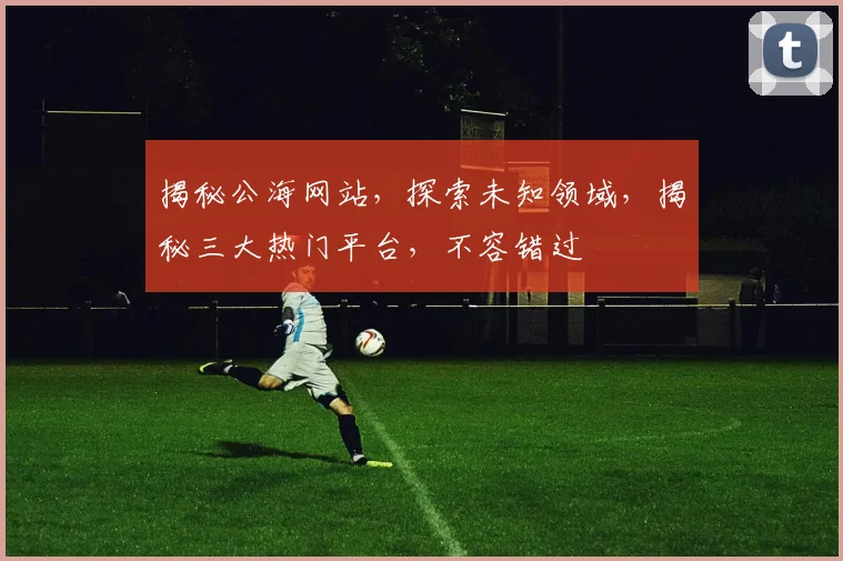 揭秘公海网站，探索未知领域，揭秘三大热门平台，不容错过