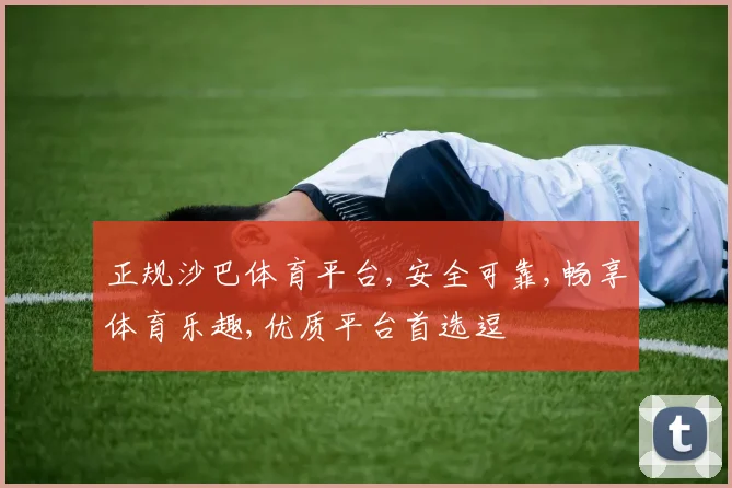 正规沙巴体育平台,安全可靠,畅享体育乐趣,优质平台首选逗