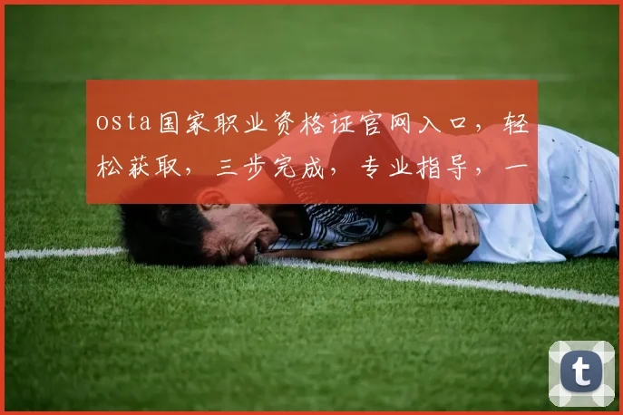 osta国家职业资格证官网入口，轻松获取，三步完成，专业指导，一网打尽